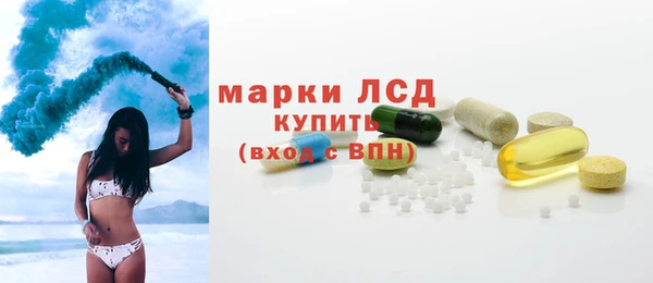 стаф Володарск