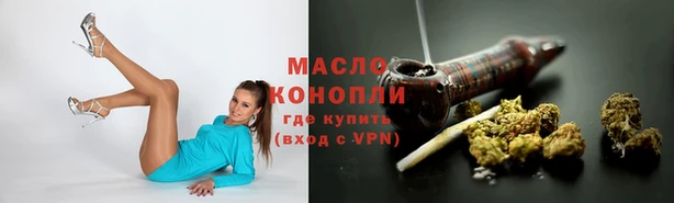 стаф Володарск
