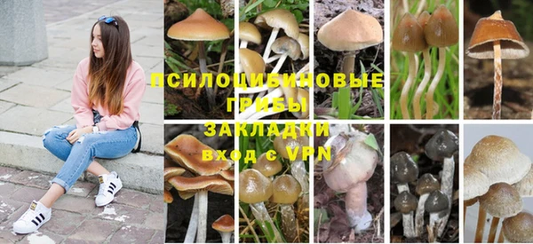 ALPHA-PVP Волосово