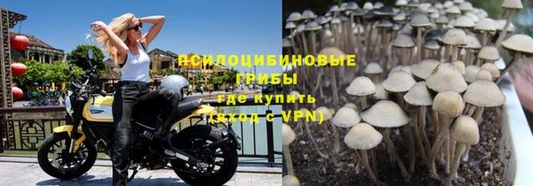 стаф Володарск
