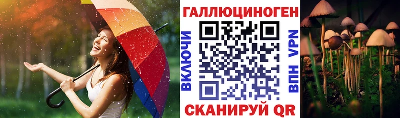 MEGA маркетплейс  Соликамск  Псилоцибиновые грибы Cubensis  как найти наркотики 